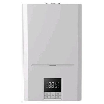Газовий котел Rens RGB-024 двоконтурний + труба RGB-024 фото